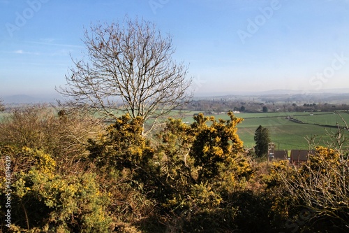 A view of the Shropshire Countryside near Shrewsbury at Lyth Hill photo