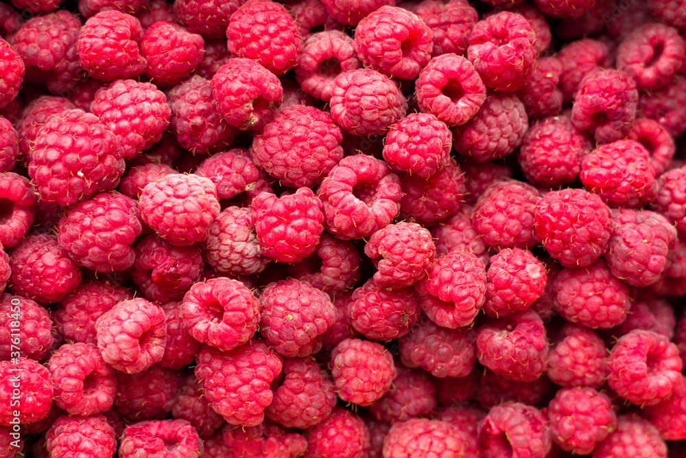lots of red sweet raspberries, top view pattern lots of red sweet raspberries, top view pattern