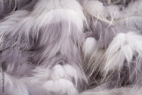 white with gray texture of natural fur fox, wallpaper, background horizontal 