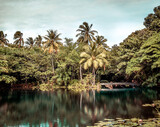 Palm trees on a small idyllic lake with water reflections in Hawaii