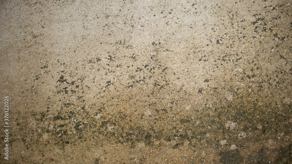 old wall with lichen,moss on the white wal, Dirty white wall background close up moss texture on cement wall, dirty concrete floor, dried moss on plaster surface old wall with lichen,moss on the white wal, Dirty white wall background close up moss texture on cement wall, dirty concrete floor, dried moss on plaster surface