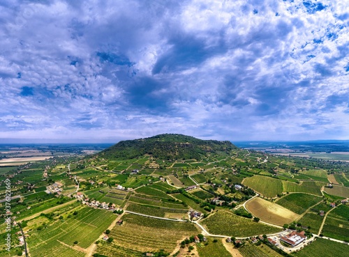 Hungary drone wide panorama photo wine field.