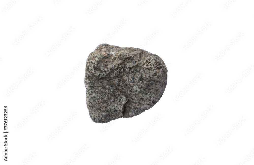 gneiss rock specimen on white background. gneiss is metamorphic rocks.Stone on white background gneiss rock specimen on white background. gneiss is metamorphic rocks.Stone on white background