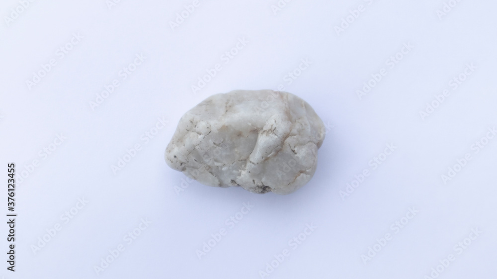 gneiss rock specimen on white background. gneiss is metamorphic rocks.Stone on white background gneiss rock specimen on white background. gneiss is metamorphic rocks.Stone on white background