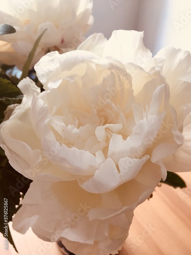 bouquet of peony