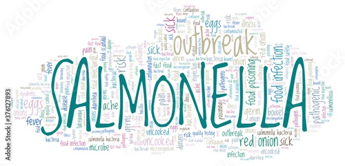 Salmonella vector illustration word cloud isolated on a white background.