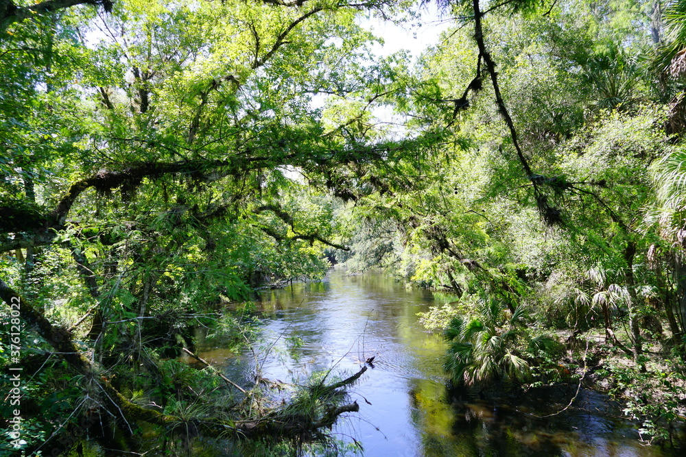 Hillsborough river state park at Tampa, Florida Hillsborough river state park at Tampa, Florida