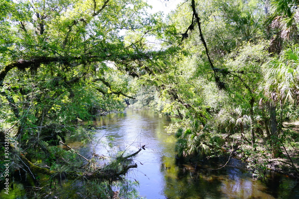 Hillsborough river state park at Tampa, Florida Hillsborough river state park at Tampa, Florida