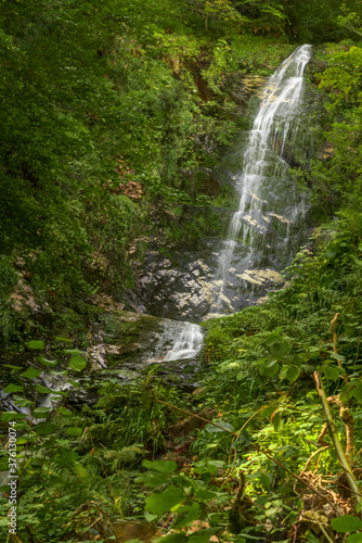 cascade in asturias spain forest