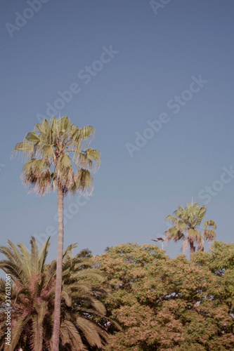 Photography beach of barcelona