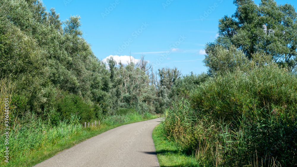 Road in Dutch nature scene