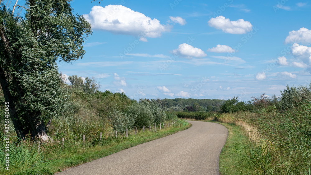 Road in Dutch nature scene