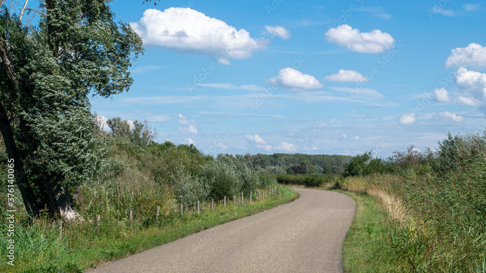 Fototapeta premium Road in Dutch nature scene