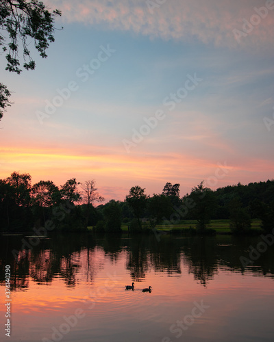 sunset over a still lake with ducks swimming in the foreground