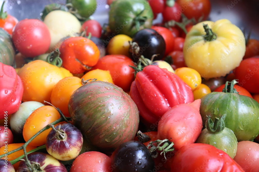 Multicolored tomatoes close-up top view, selective focus. Multicolored tomatoes close-up top view, selective focus.
