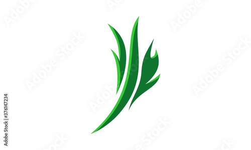 Fototapeta Naklejka Na Ścianę i Meble -  grass or leaf logo green