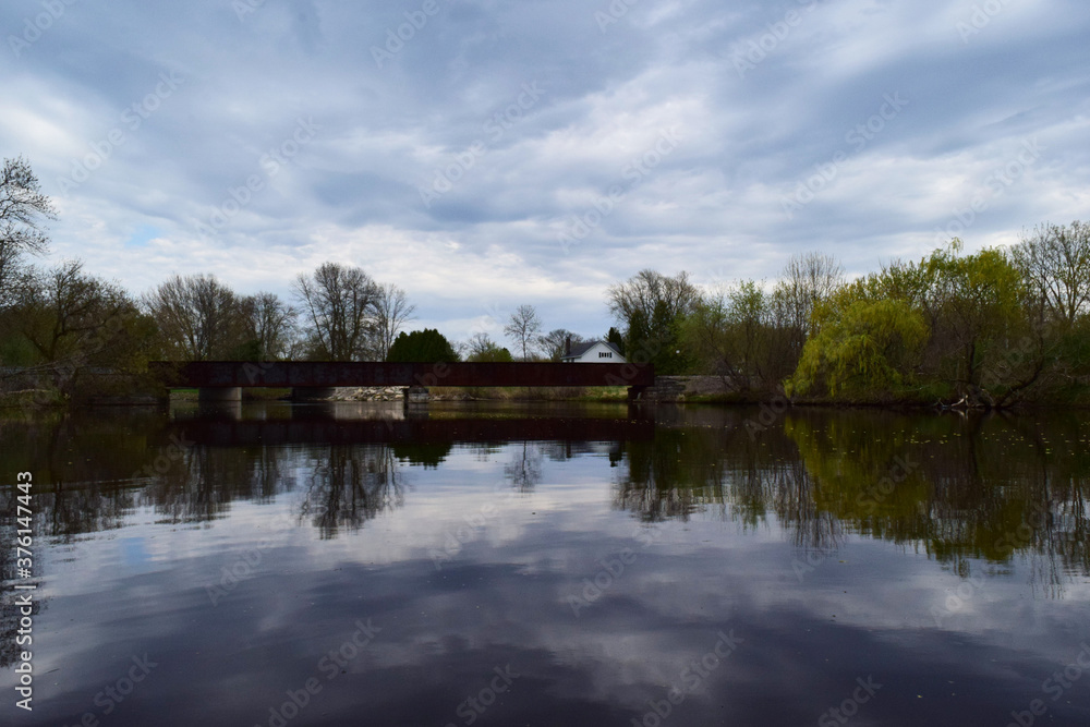 Fototapeta premium reflection of trees in the lake