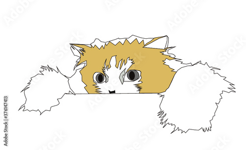 ネコ ~cat~
