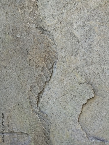 Stone texture cement wall background