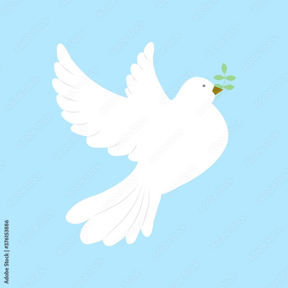 Beautiful white dove in flight with an olive branch Beautiful white dove in flight with an olive branch