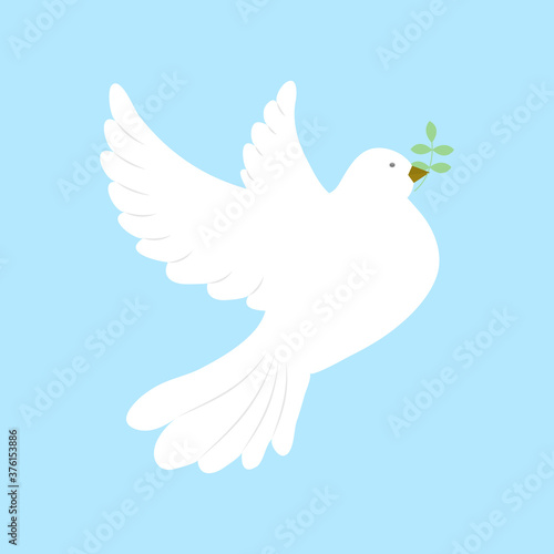Beautiful white dove in flight with an olive branch