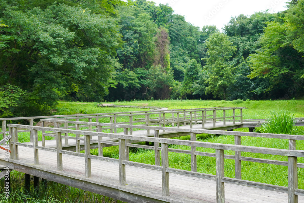 公園の東屋