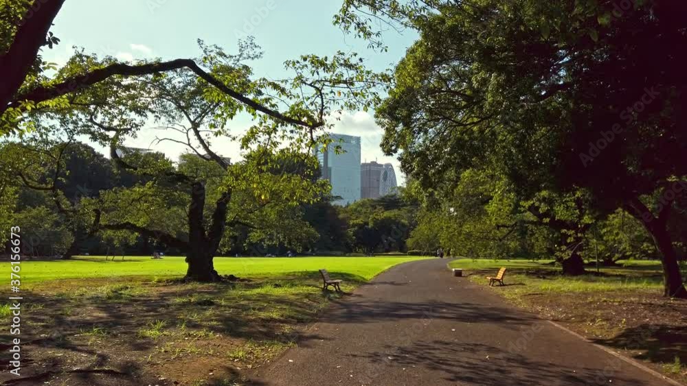 東京都新宿区にある大きな公園の景色 東京都新宿区にある大きな公園の景色