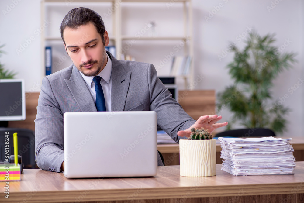 Young male employee working in the office Young male employee working in the office