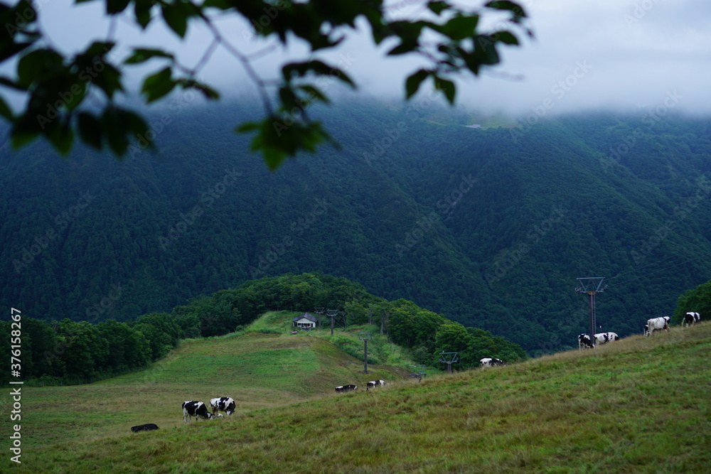 Beautiful landscape with green mountains cloudy sky in the morning. Exploring rural Japan, Hakuba