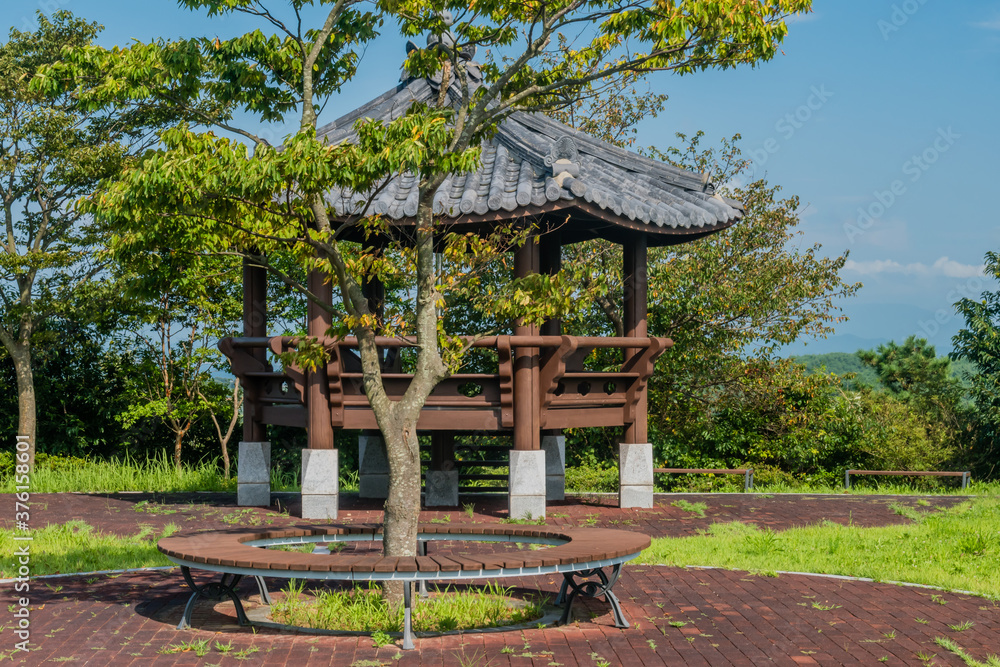 Tree in park growing inside circular wooden bench Tree in park growing inside circular wooden bench