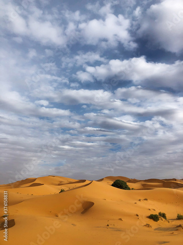 Sahara desert landscape with sand dunes and beautiful clouds in sunset light. Travel in Dubai.
