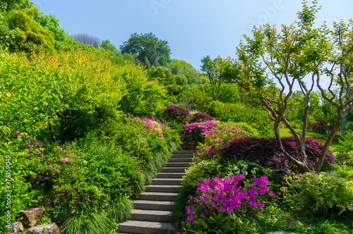 Spring scenery of Huanghelou Forest Park in Wuhan, Hubei