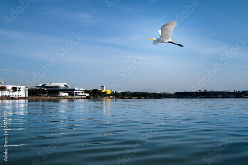 Industrial pollution being poured directly into the waters of Guanabara Bay  Rio de Janeiro  Brazil