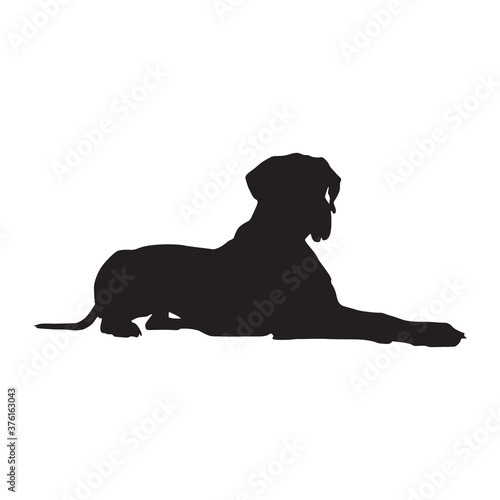 Great Danes Dog Sitting On Side Silhouette Found In Map Of Europe