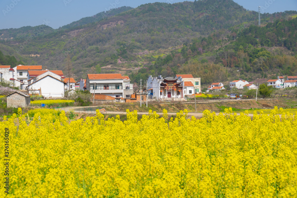Spring scenery of Hubei Daye Zhaoshan Forest Park Spring scenery of Hubei Daye Zhaoshan Forest Park