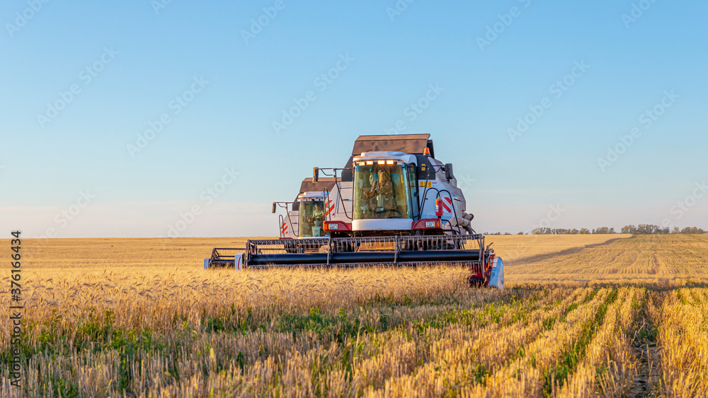Combines and other equipment in the fields during the wheat harvest Combines and other equipment in the fields during the wheat harvest