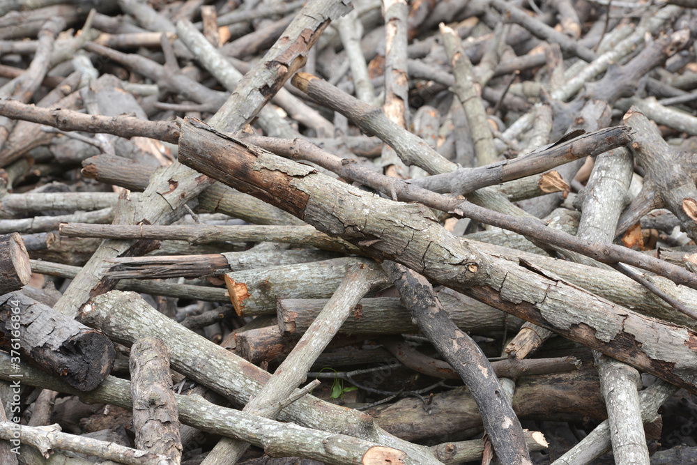 Firewood background.A lot of firewood is dumped in a pile. Firewood background.A lot of firewood is dumped in a pile.