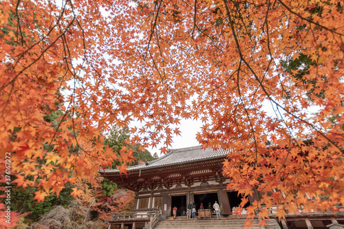 京都神護寺の紅葉