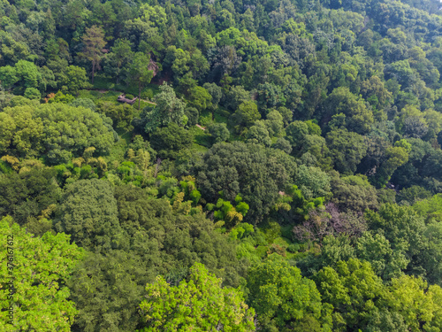 Wuhan East Lake Moshan Scenic Area Aerial Scenery in summer