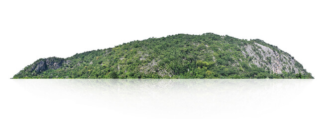 rock mountain with forest isolate on white background