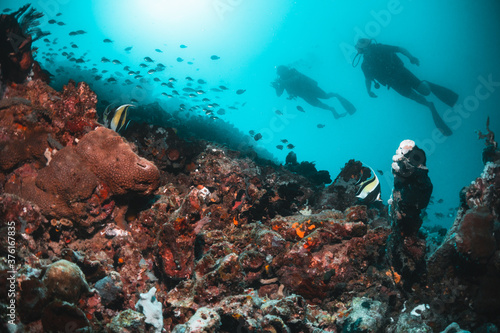 Wallpaper Mural Scuba divers swimming peacefully among colorful coral reef formations in crystal clear blue water Torontodigital.ca