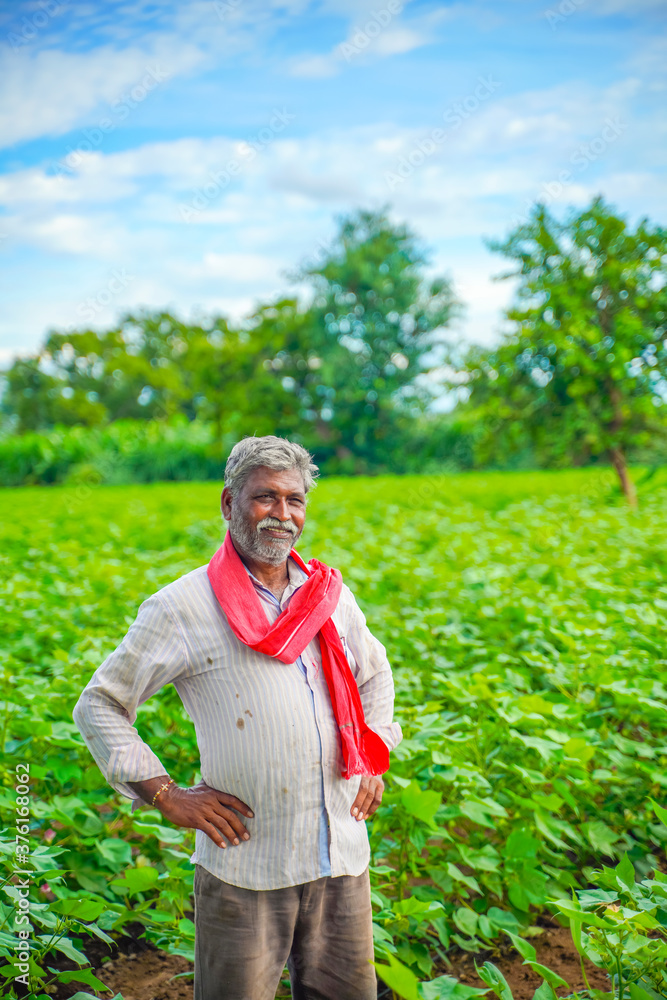 Fototapeta premium Indian farmer at cotton field