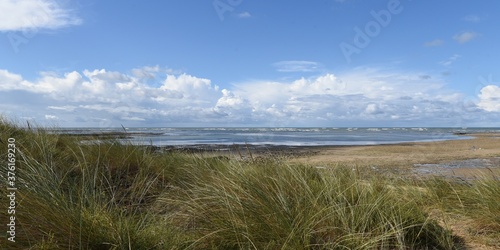 plage et dune  Ol  ron