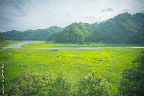 川 河川 清流 緑 湿地 湿地帯 自然 photo