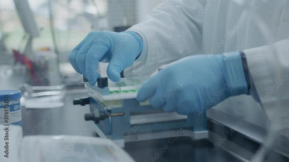 A worker in a lab takes the cover off a pill tray A worker in a lab takes the cover off a pill tray