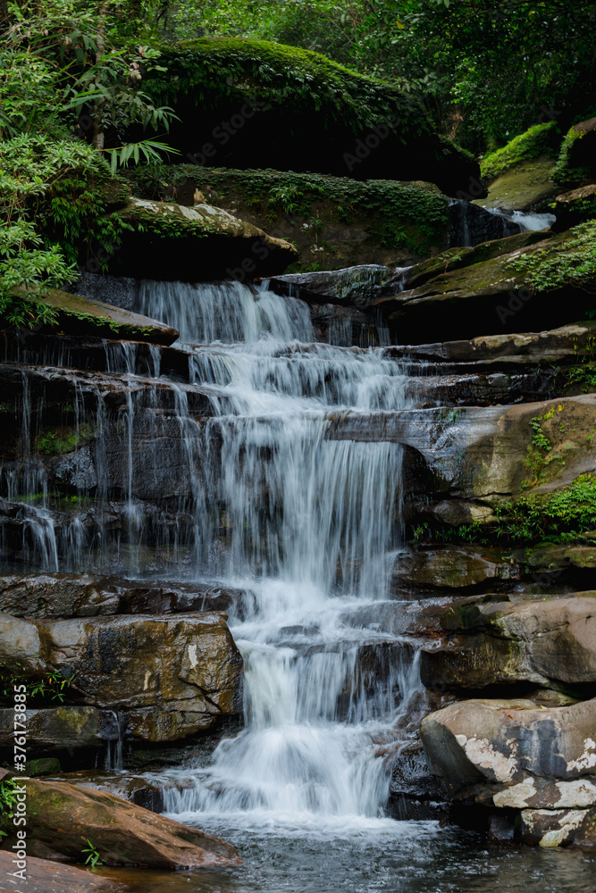 Fototapeta premium TONG685