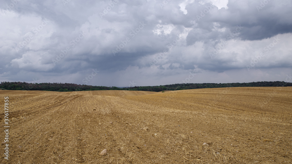 Harvested fields in Brandenburg Harvested fields in Brandenburg
