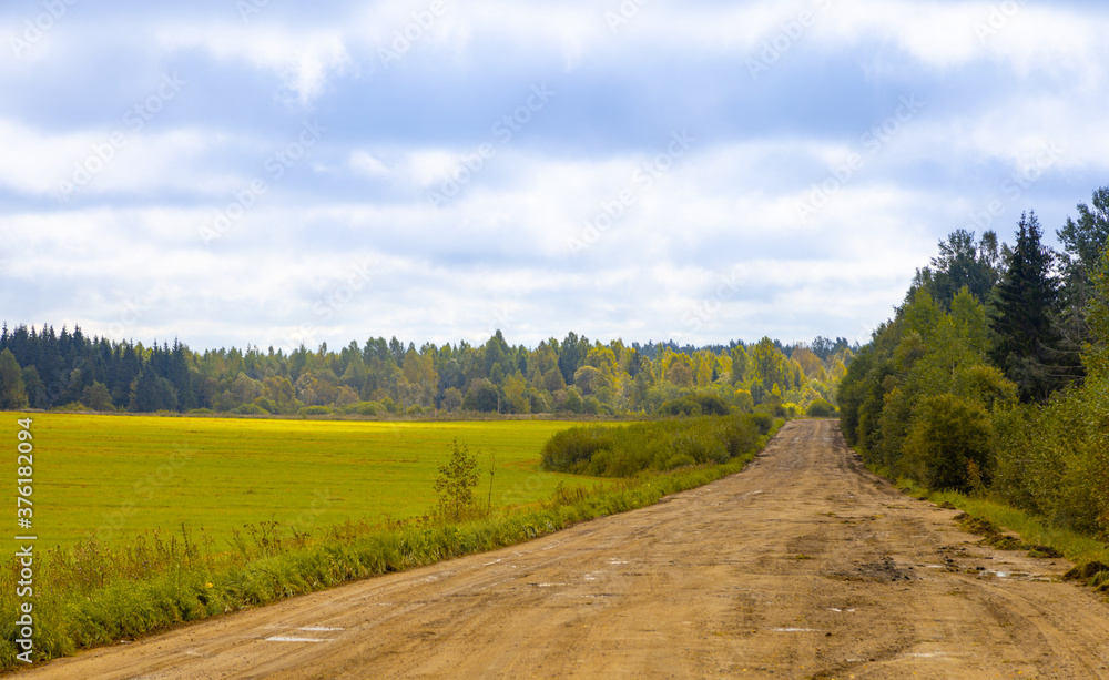 Fototapeta premium Dirt road leads somewhere. In the background a field and somewhere behind it a forest.