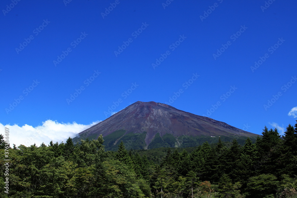 Fototapeta premium The signs of autumn are all around us.