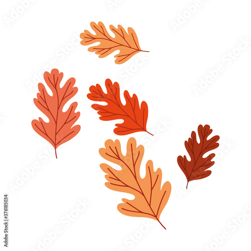 autumn season leafs plant pattern decoration